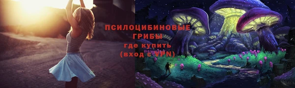 трава Осташков