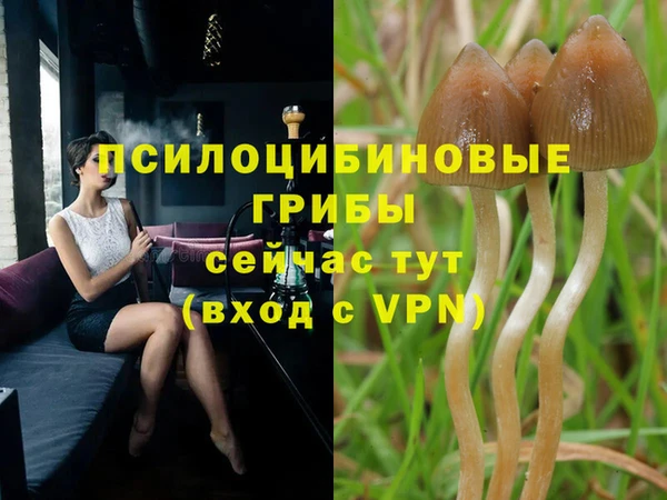 герыч Абинск